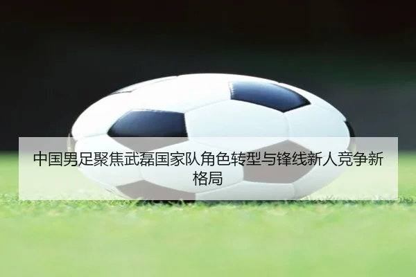 中国男足聚焦武磊国家队角色转型与锋线新人竞争新格局